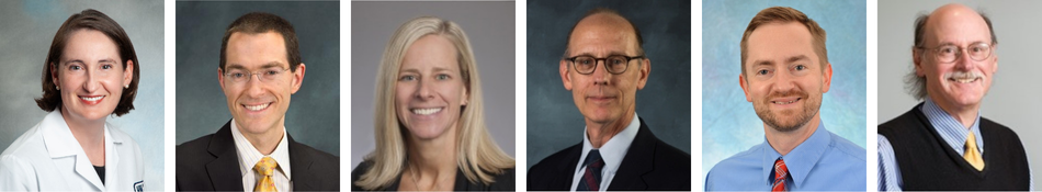 Margo Funk, MD, MA, FACLP, Mark Oldham, MD, FACLP, Ann Schwartz, MD, FACLP, Peter Shapiro, MD, FACLP, Nathaniel Sowa, MD, PhD and Theodore Stern, MD, LFACLP